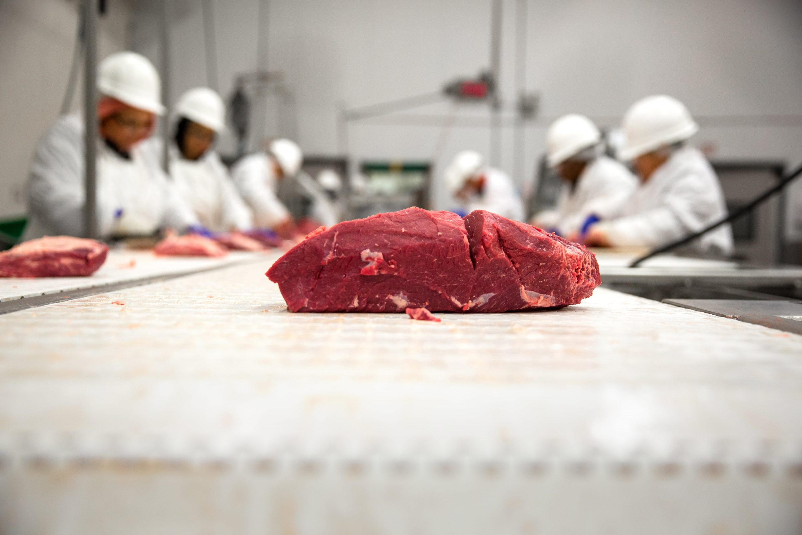 Brazilian meat giant trucked cattle from deforested Amazon ranch