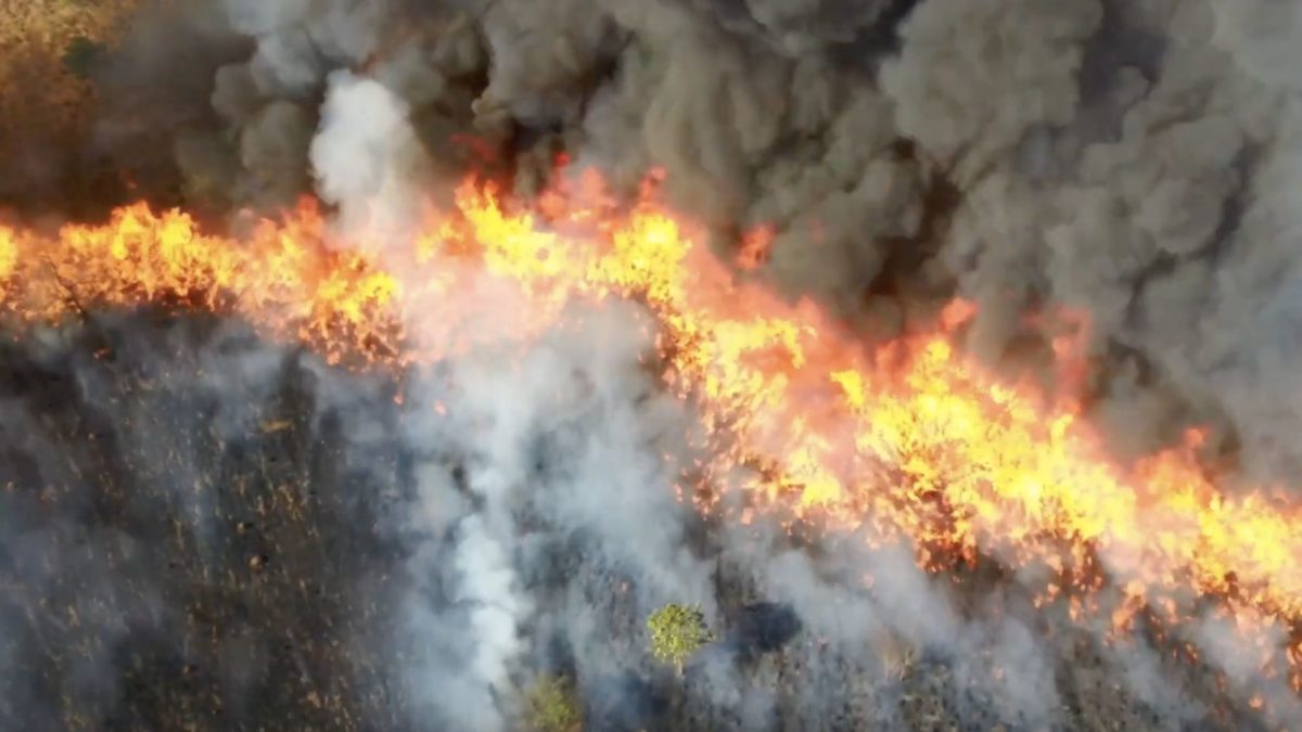 French import of soy link to deforestation and violence