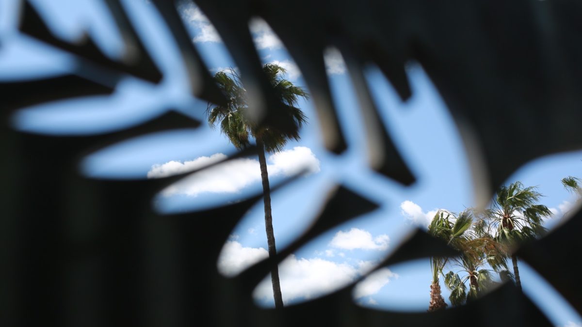 Festival de Cannes : la Palme d'or du greenwashing