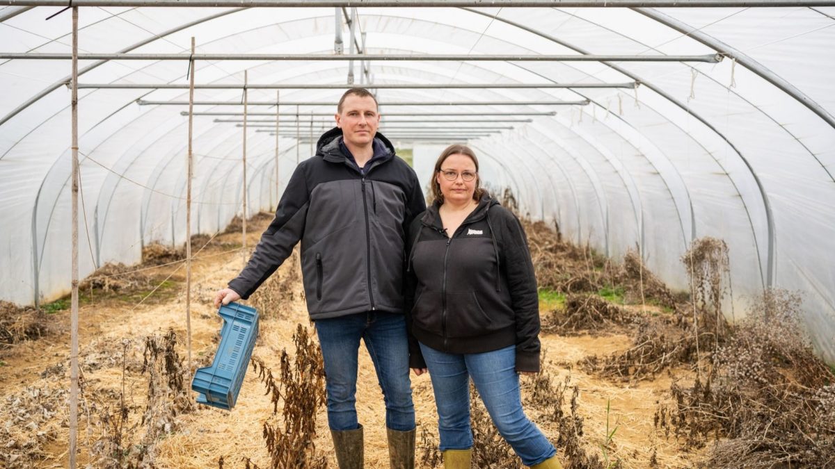 Pollution aux PFAS : deux agriculteurs des Ardennes portent plainte et demandent des comptes à l’État